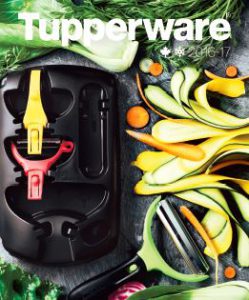 catautomne-hiver2016-17_25
