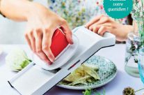 Catalogue Printemps-Été 2018
