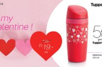 19_02-04+05 Offres Valentine