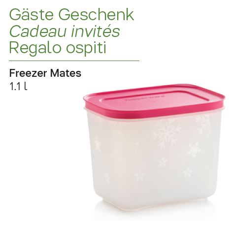 Freezer mates 1,1 L - Cadeau gratuit en assistant à une réunion Tupperware en septembre 2019 en Suisse